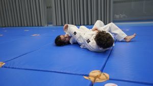 Armbar Training